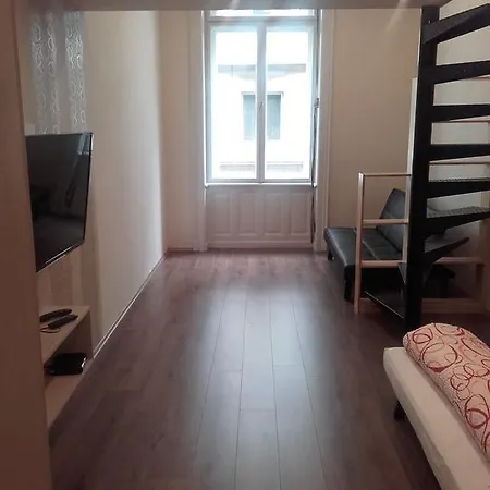 Apartment Rafi